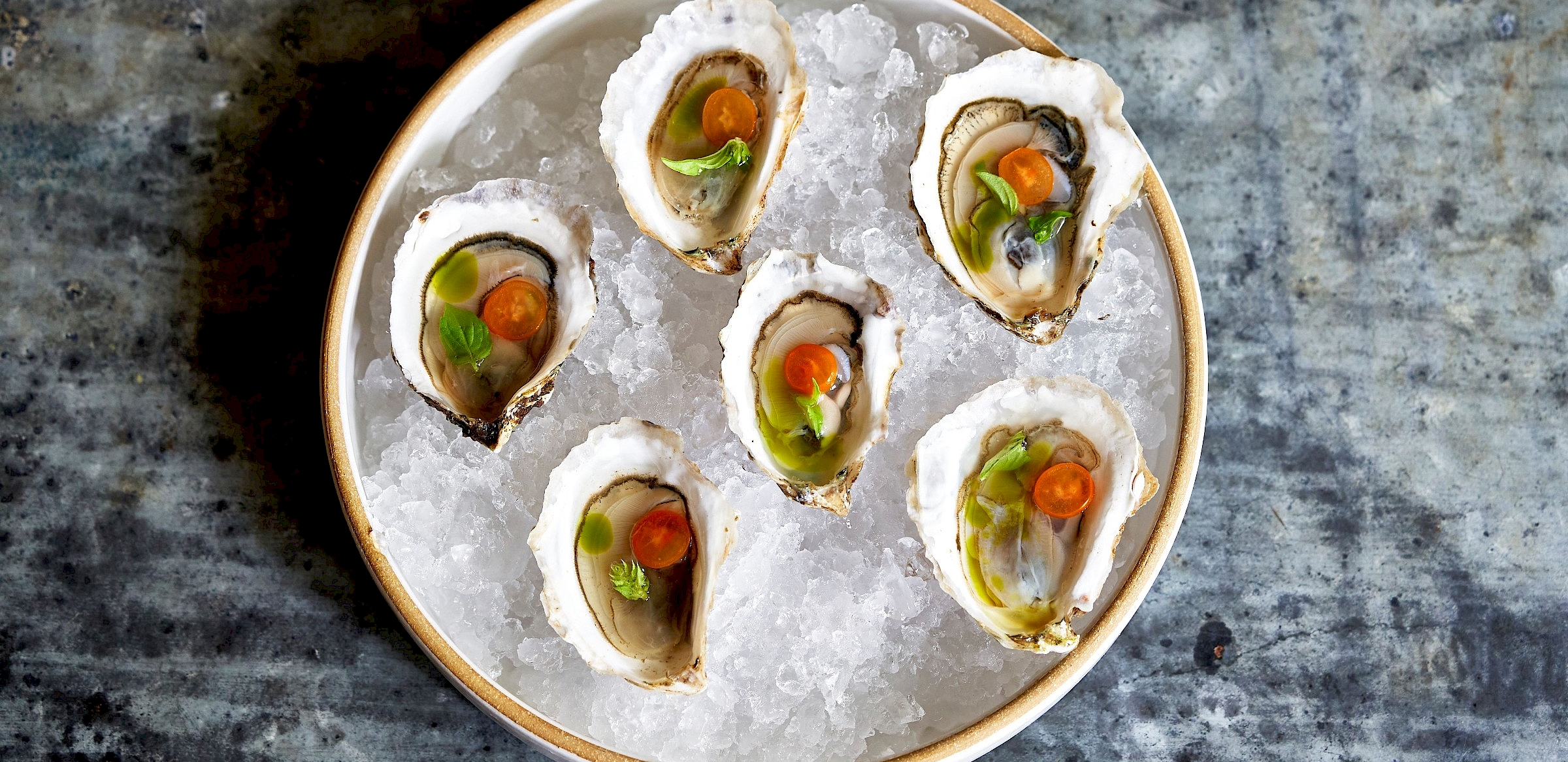 A plate of perfectly shucked oysters